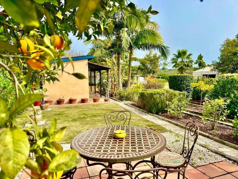 Finca Tierra Sana Estepona Dış mekan fotoğraf