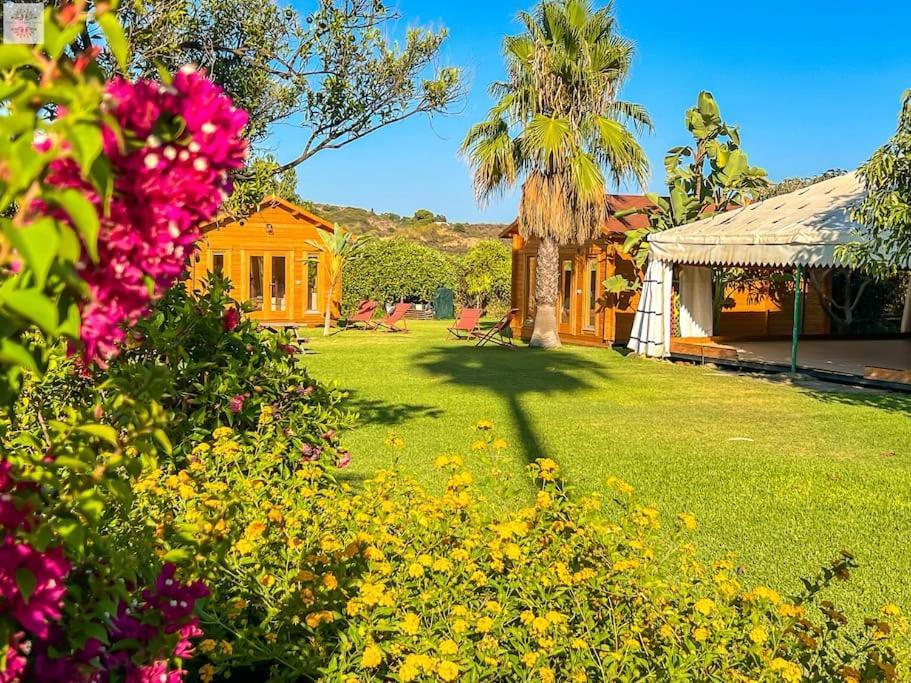 Finca Tierra Sana Estepona Dış mekan fotoğraf