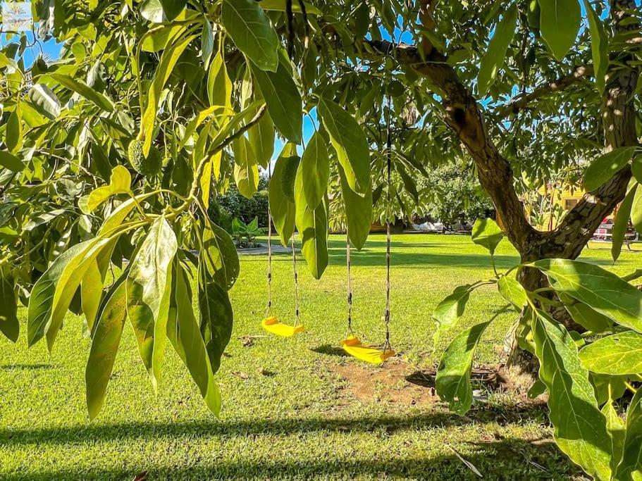 Finca Tierra Sana Estepona Dış mekan fotoğraf