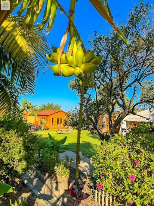 Finca Tierra Sana Estepona Dış mekan fotoğraf