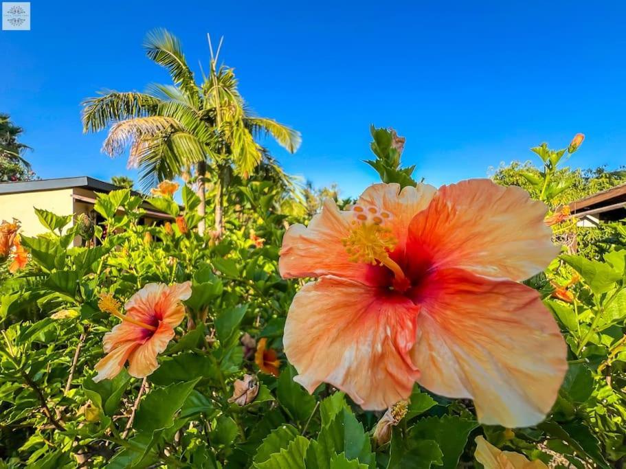 Finca Tierra Sana Estepona Dış mekan fotoğraf